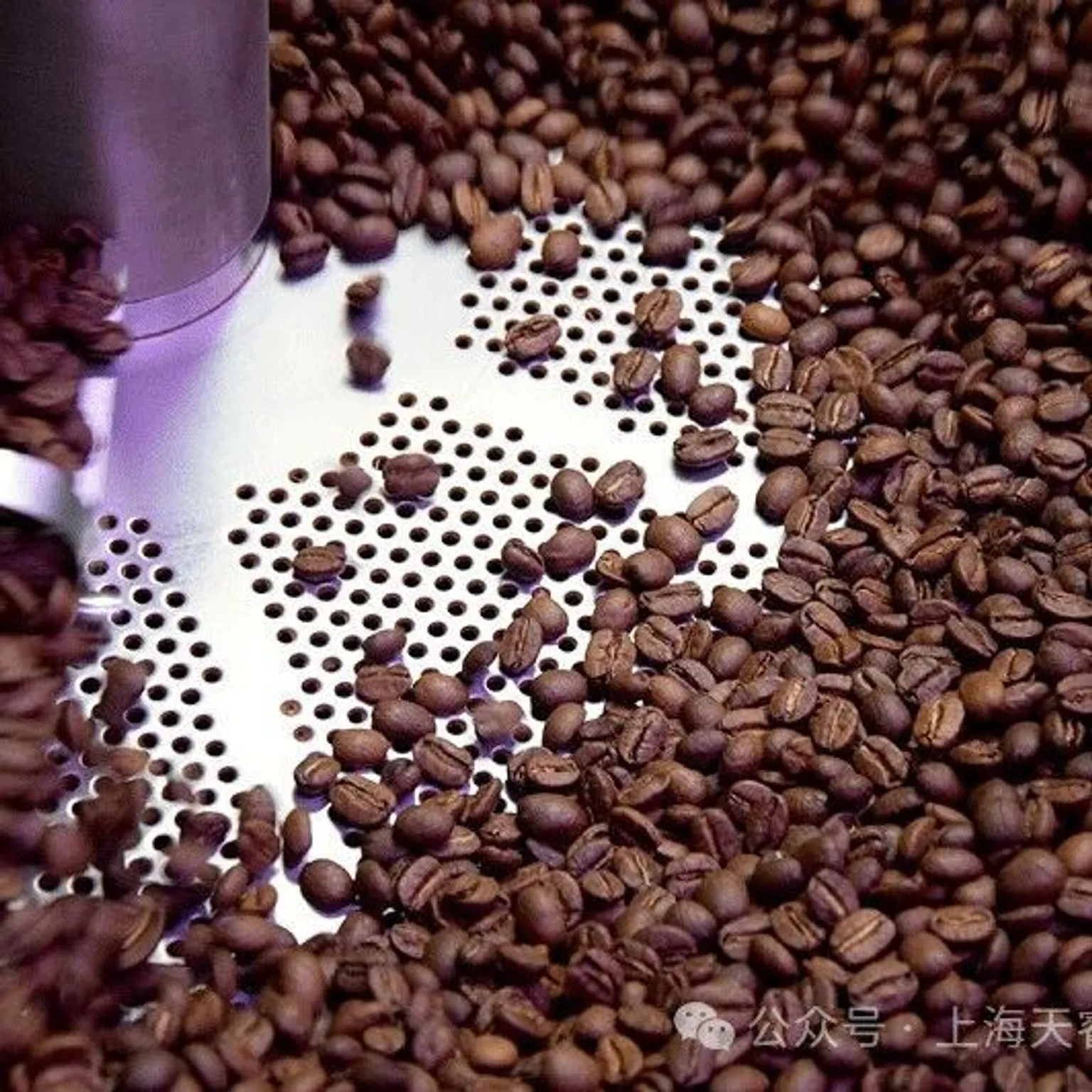 从巧克力涨价看欧盟零毁林法案与供应链合规