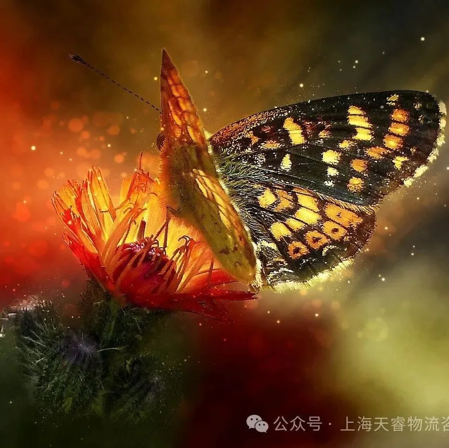 MMOG V6解读之49| 偏差传达-蝴蝶效应的翅膀