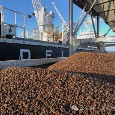 术语-12|从巧克力涨价中学习Hedge inventory