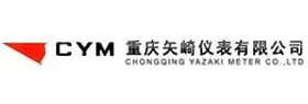 重汽王牌