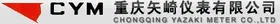 重庆矢崎